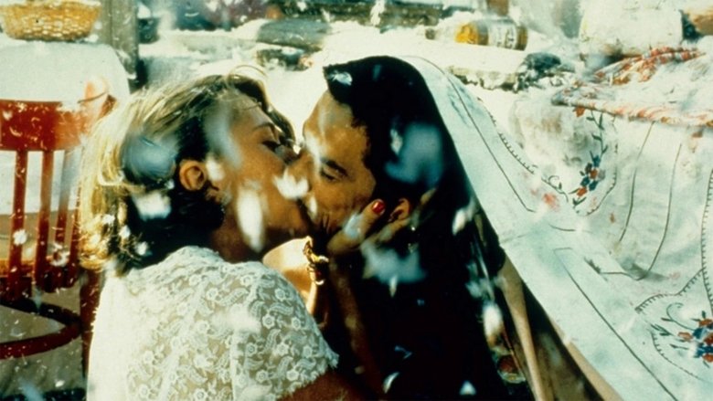 Чёрная кошка, белый кот