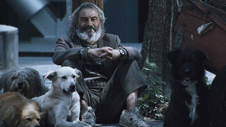 Сука-любовь